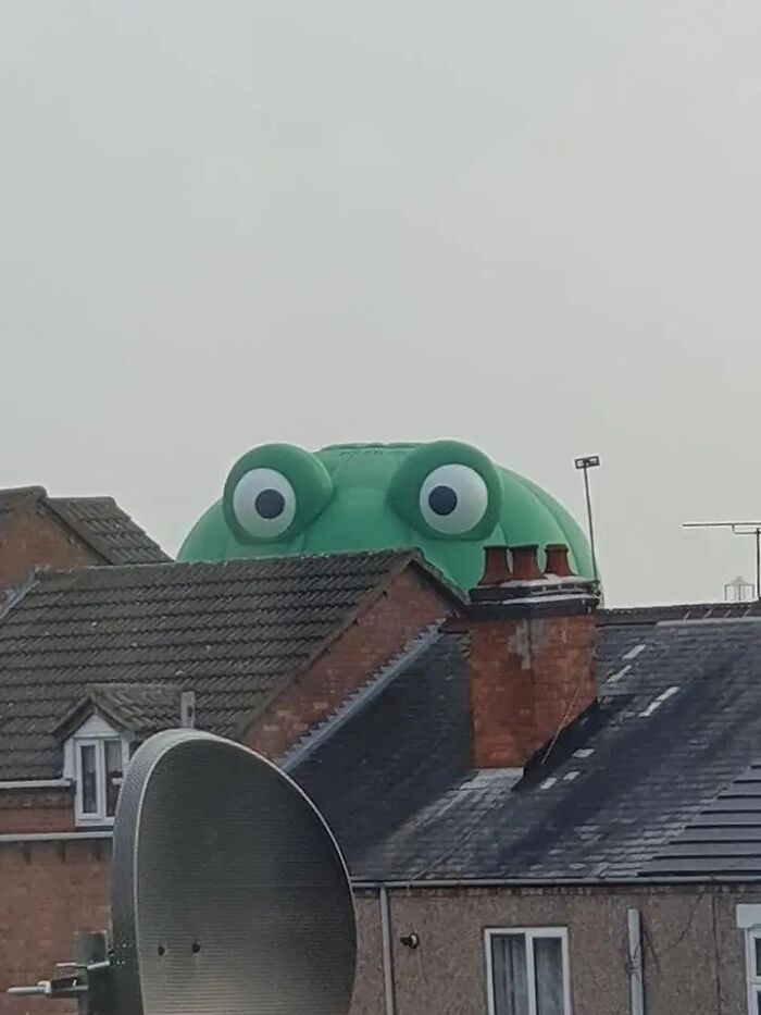 A giant bizarre inflatable green frog peering over rooftops, its eyes wide open, raising questions.