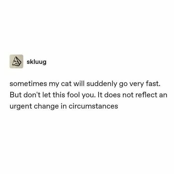Entertaining cat memes: Text post about a cat that suddenly goes very fast without urgency.