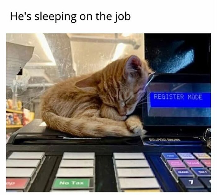 Entertaining cat memes: An orange tabby cat sleeping curled up on a cash register.