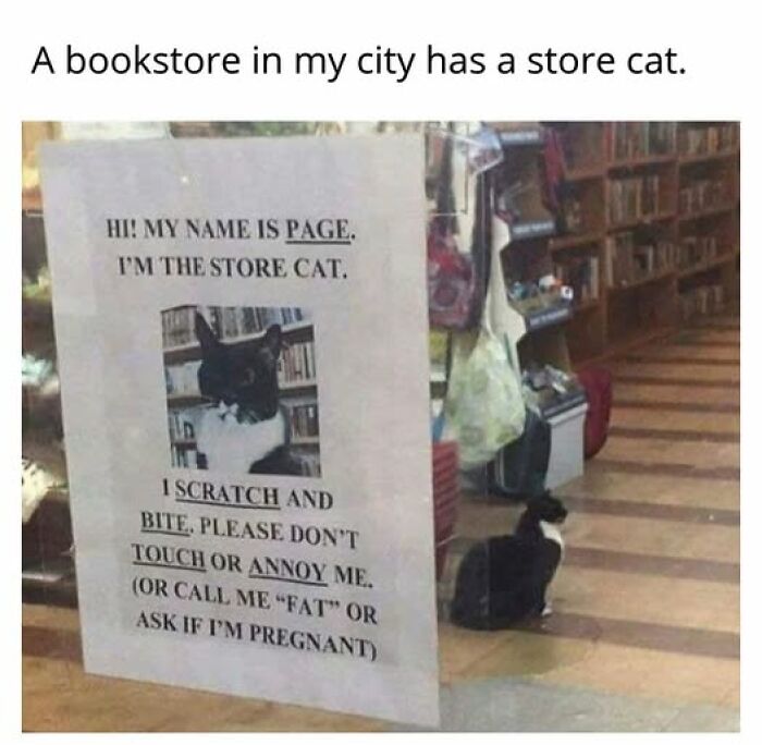 A cat meme featuring a bookstore cat named Page with a humorous warning sign, adding character to the store.