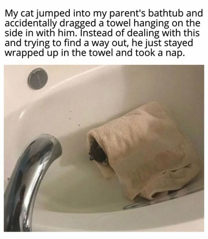 Entertaining cat memes: A cat in a bathtub wrapped in a towel, taking a nap.