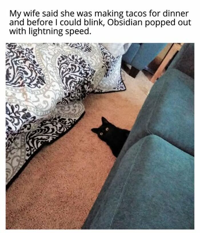 A black cat peeking from behind a blue couch with wide eyes, looking at a bed. A funny cat meme.