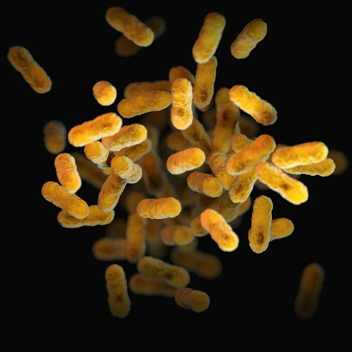 Close-up of human body bacteria under microscope in dark background