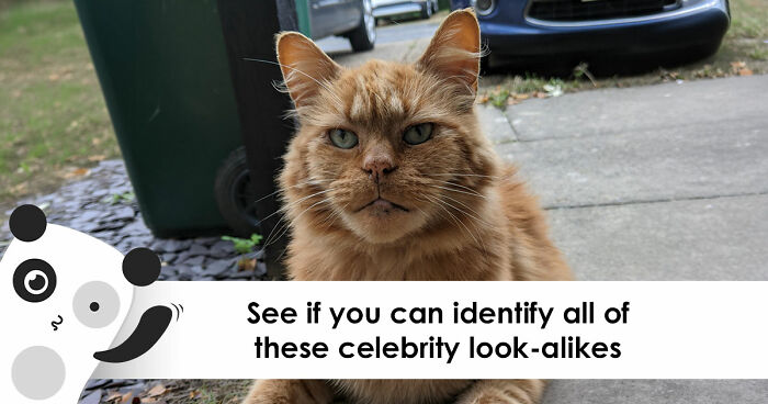 If You Can Guess 25 Celebrities By Just Their Doppelgangers, You Have An Undiscovered Talent