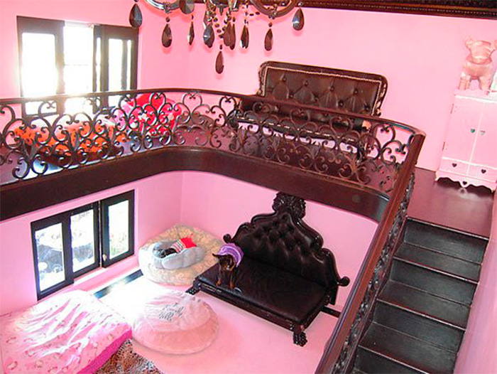 Interior of a luxurious pink dog mansion with chandeliers and tiny furniture, showing questionable renovations by celebs. Interior of a luxurious pink dog mansion with chandeliers and tiny furniture, showing questionable renovations by celebs.