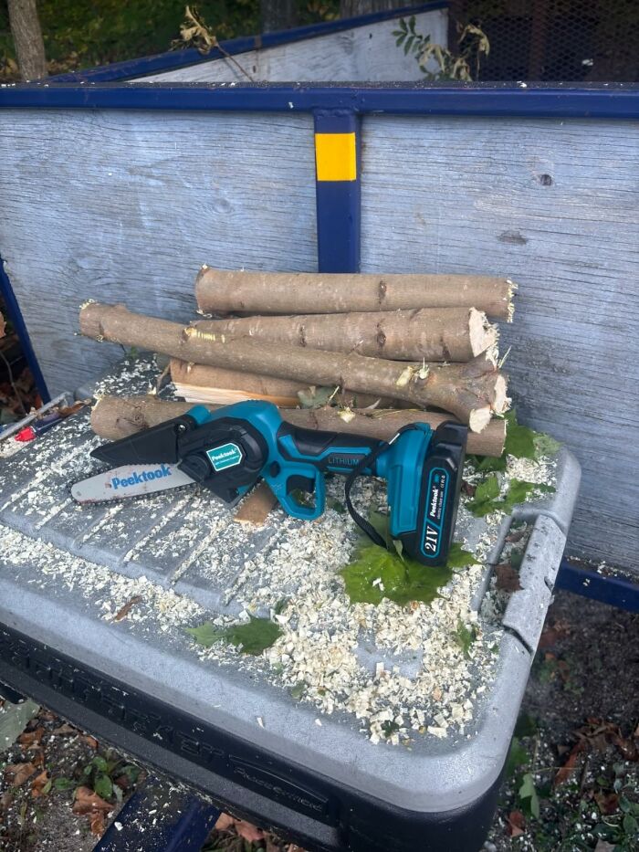 Compact electric chainsaw with cut branches as practical Father's Day gifts