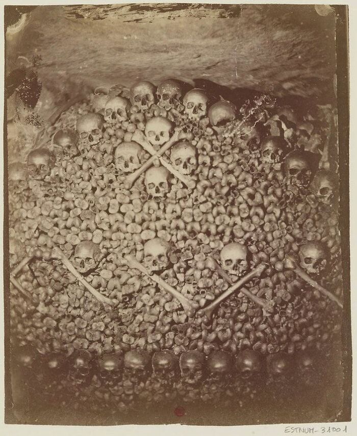 A macabre historical photo showing a pile of skulls and bones, arranged in a disturbing display.
