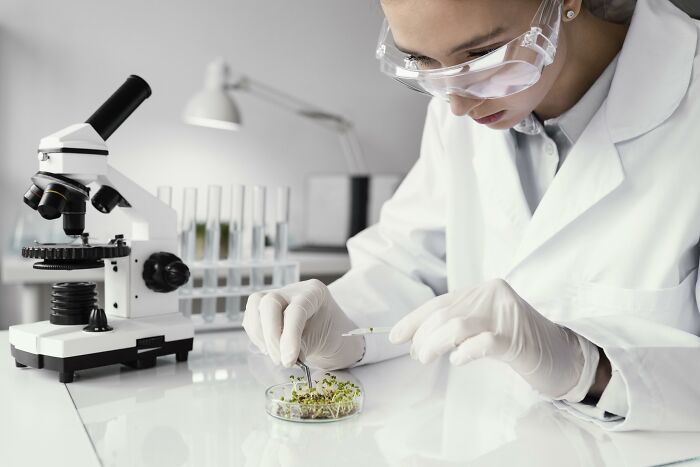 Scientist in a lab examining plants under a microscope, a job safe from AI.