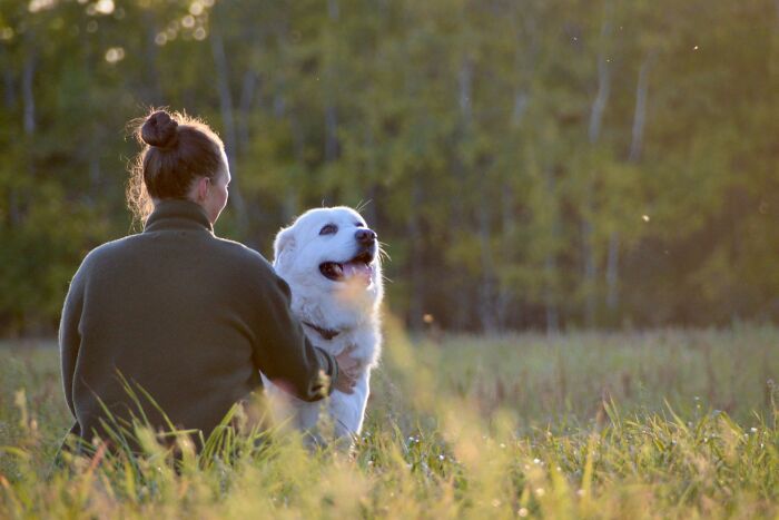 A person with an unusual job, kneeling and petting a large white dog in a sunny field, highlighting unusual jobs.