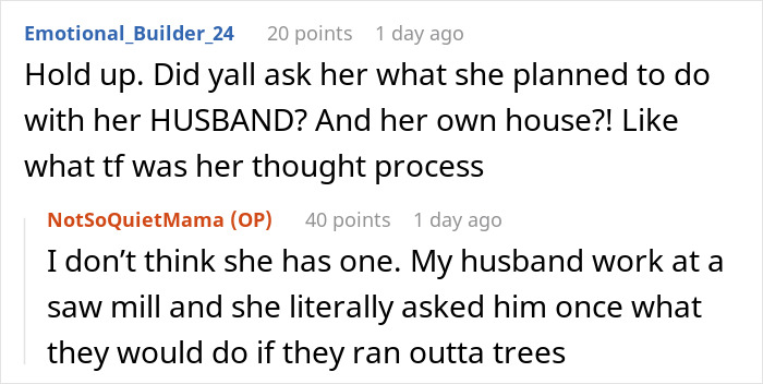 A user questions the husband's mom's plans, highlighting her breakdown and lack of logical thought process.