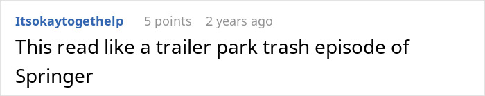 A comment describing the story as a 'trailer park trash episode of Springer', referencing the cheater stepdad revenge. A comment describing the story as a 'trailer park trash episode of Springer', referencing the cheater stepdad revenge.