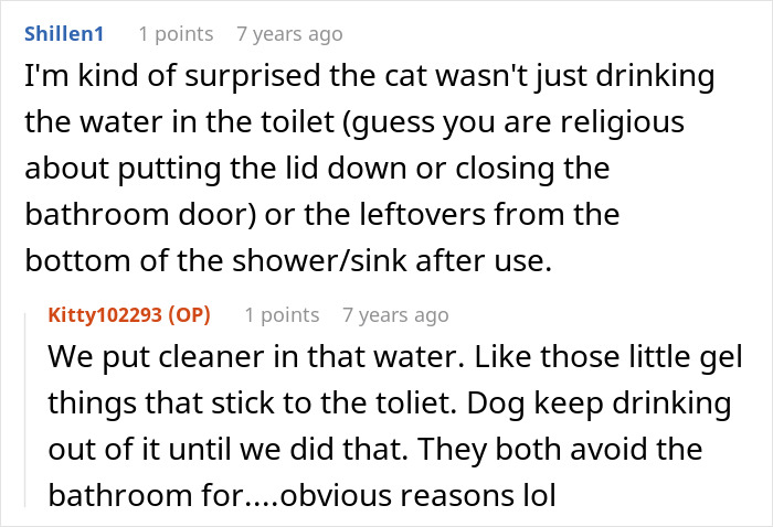 Woman Thinks Her Blind Cat Is Being Annoying, Realizes She Was Trying To Signal A Serious Problem Woman Thinks Her Blind Cat Is Being Annoying, Realizes She Was Trying To Signal A Serious Problem