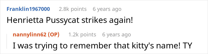 A screenshot of comments mentioning Henrietta Pussycat, relating to a sister's 'Meow' comeback. A screenshot of comments mentioning Henrietta Pussycat, relating to a sister's 'Meow' comeback.