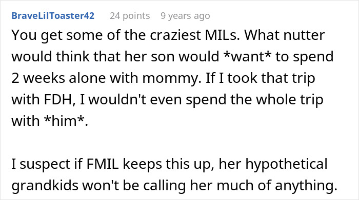 A comment about a woman's drunken tantrum over a honeymoon trip with her son, entertaining the whole hotel.