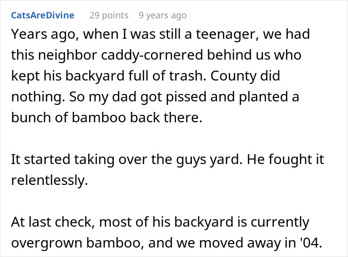 A screenshot of a Reddit comment detailing a neighbor's petty acts and a father's revenge with bamboo.
