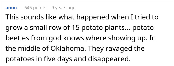 Screenshot of an anon comment about potato beetles ravaging plants, similar to how beetles ruin a rose garden.