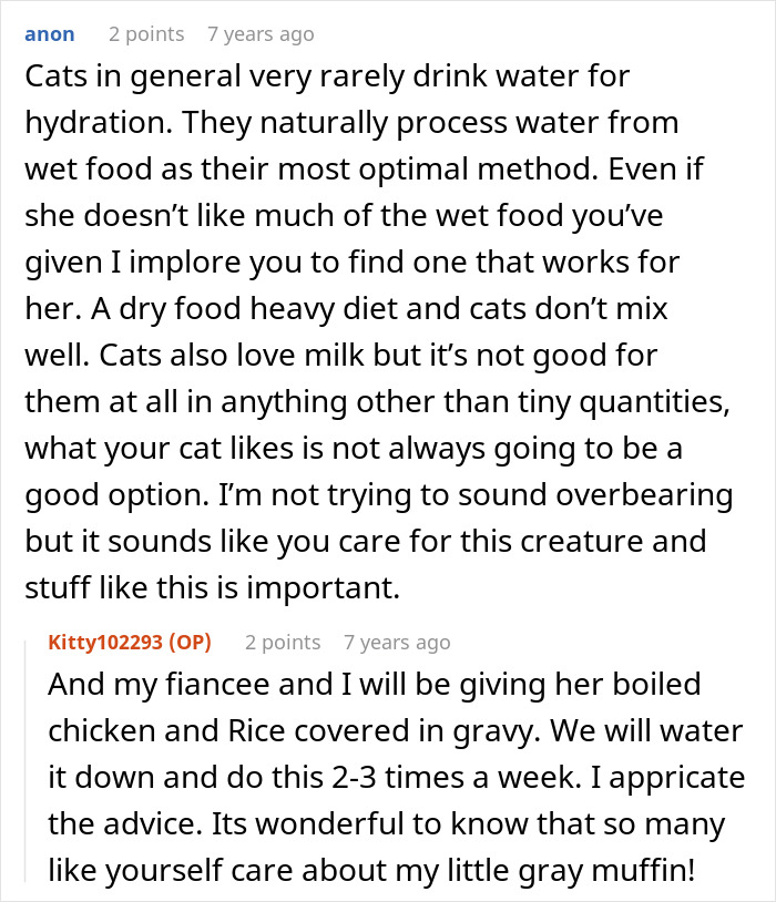 Woman Thinks Her Blind Cat Is Being Annoying, Realizes She Was Trying To Signal A Serious Problem Woman Thinks Her Blind Cat Is Being Annoying, Realizes She Was Trying To Signal A Serious Problem