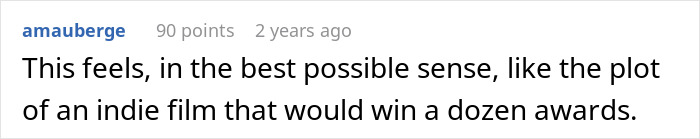 Screenshot of an online comment suggesting the husband's accident story is like an award-winning indie film plot.