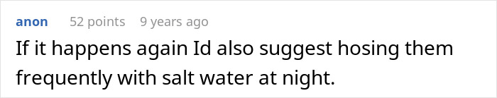 Reddit comment suggesting hosing with salt water as further revenge for a neighbor's petty acts.