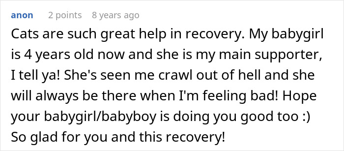 A comment about cats helping in recovery from a toxic guy relationship, offering support.