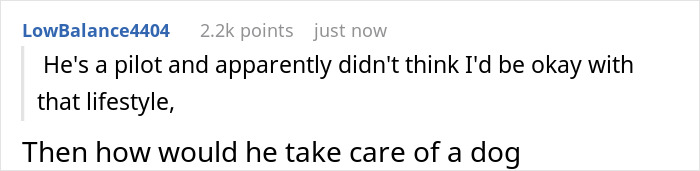 Comment discusses pilot's lifestyle and dog care in breakup situation Comment discusses pilot's lifestyle and dog care in breakup situation