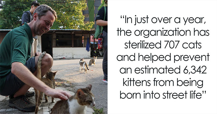 This Organization Has Helped Hundreds Of Street Cats Through Local Action And Clever Use Of Technology