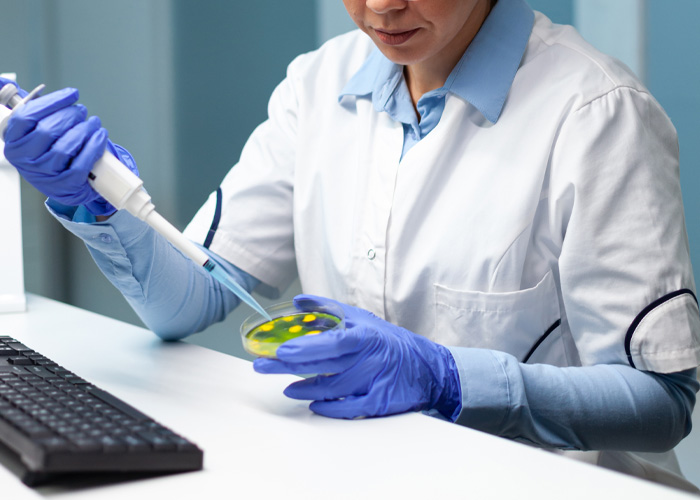 Scientist using pipette on petri dish for artificial egg cloning