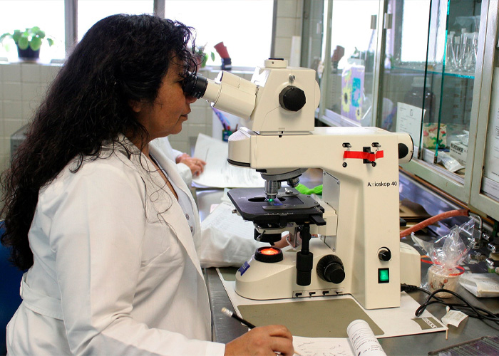 Laboratory scene showing scientist examining samples under microscope
