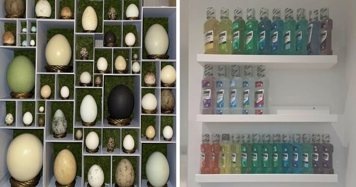 66 Unexpected Yet Most Fascinating Collections People Managed To Build Over The Years