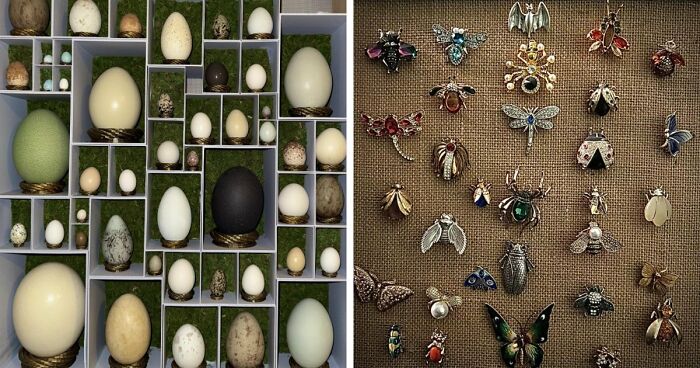 66 Unexpected Yet Most Fascinating Collections People Managed To Build Over The Years