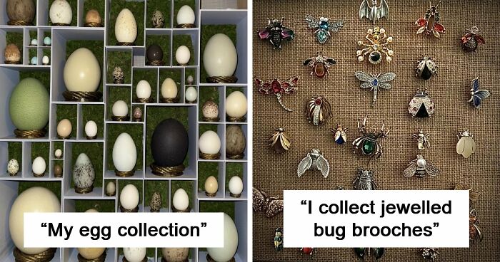 66 Unexpected Yet Most Fascinating Collections People Managed To Build Over The Years