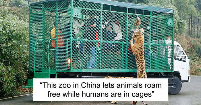97 Posts About Humanity And Our Planet That Might Teach You Something New