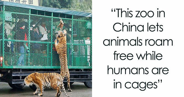 97 Posts About Humanity And Our Planet That Might Teach You Something New