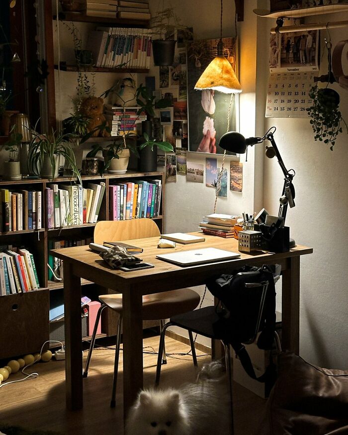 Warmly lit study corner with wooden desk and shelves full of books interior design ideas
