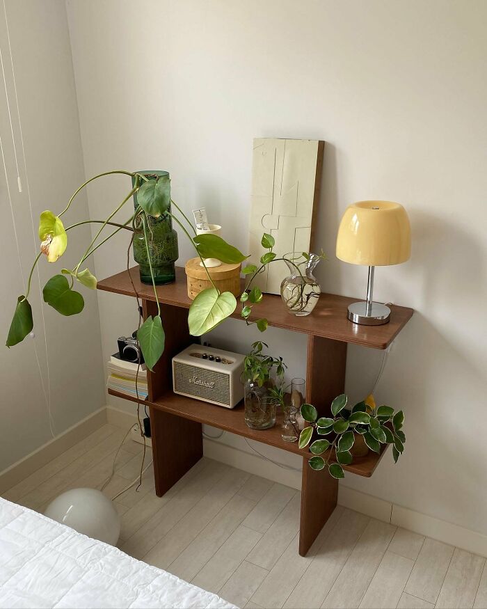 Minimalist wooden shelf with plants and lamp in cool interior design