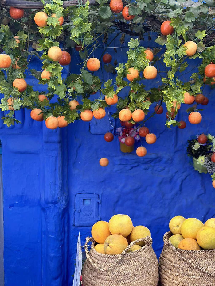Aesthetic display of hanging orange fruits and baskets against a bright blue wall