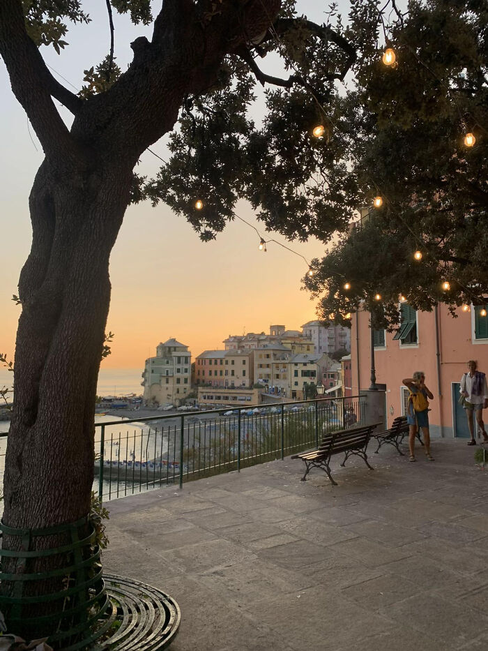 Twilight coastal town view with hanging string lights and people near tree-lined promenade