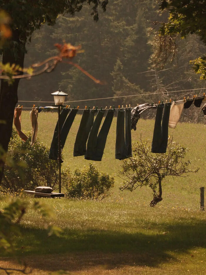 Clothes hanging on line drying in a rustic countryside backyard with lush greenery