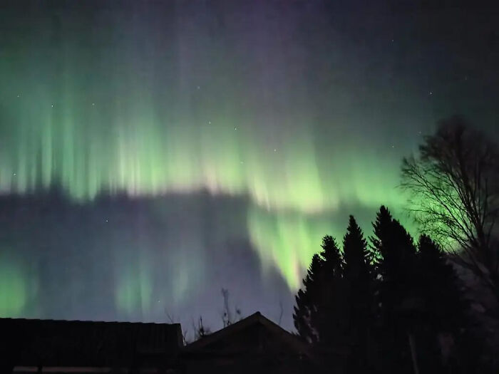 Aesthetic northern lights glowing green over silhouetted trees and rooftops at night