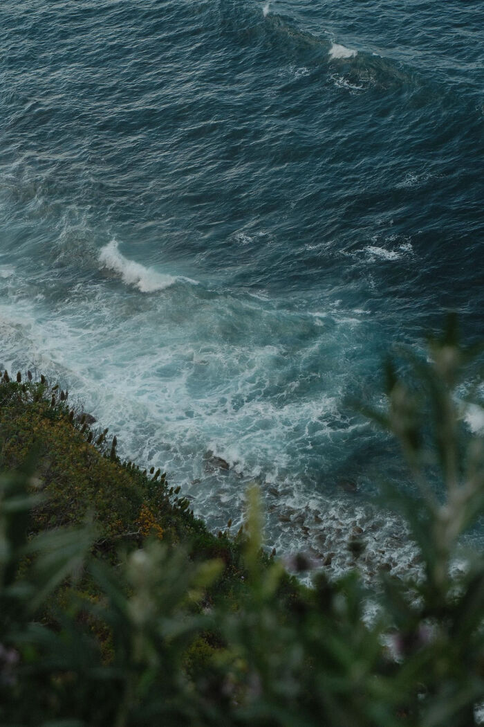 Aesthetic ocean waves crashing against the rocky shore with green foliage