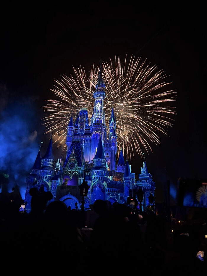 Aesthetic nighttime fireworks above illuminated castle with silhouetted crowd