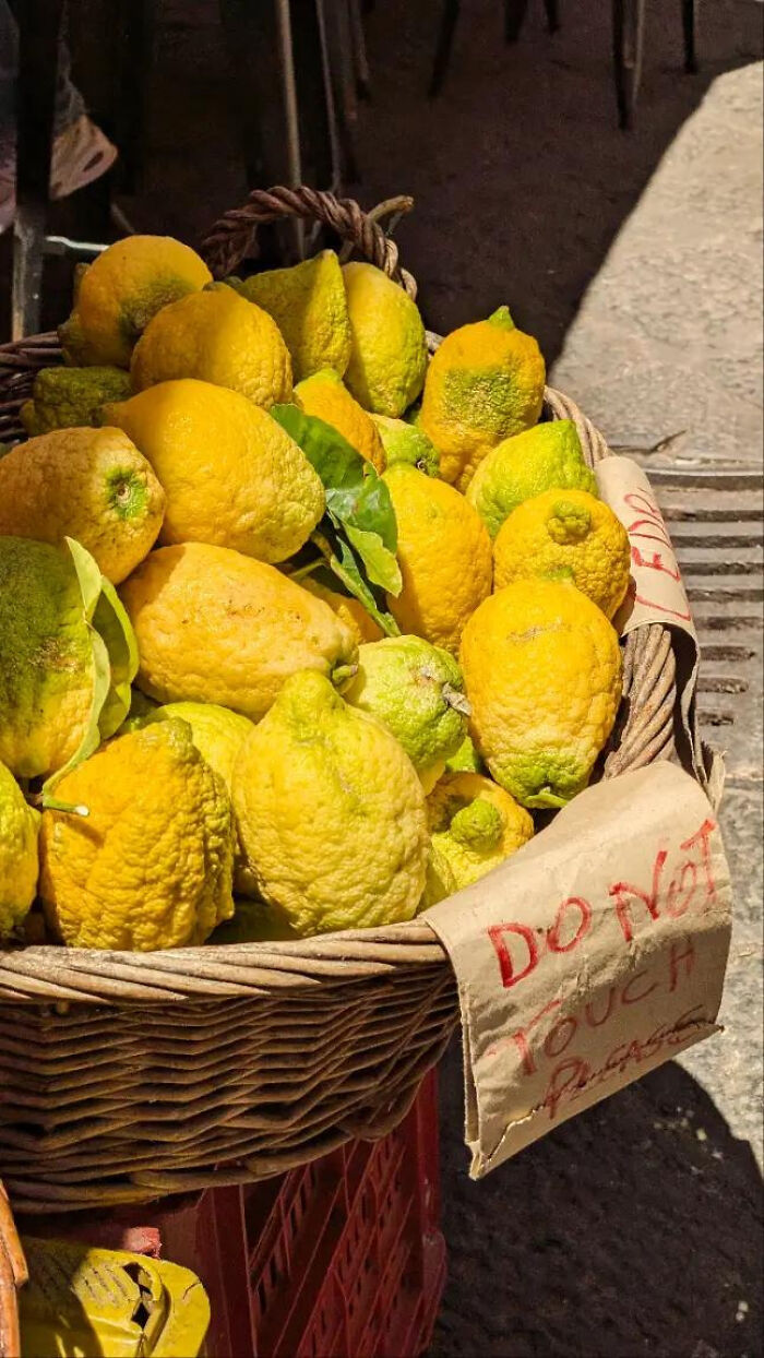 Aesthetic photo of yellow citrus fruits in a wicker basket with do not touch sign