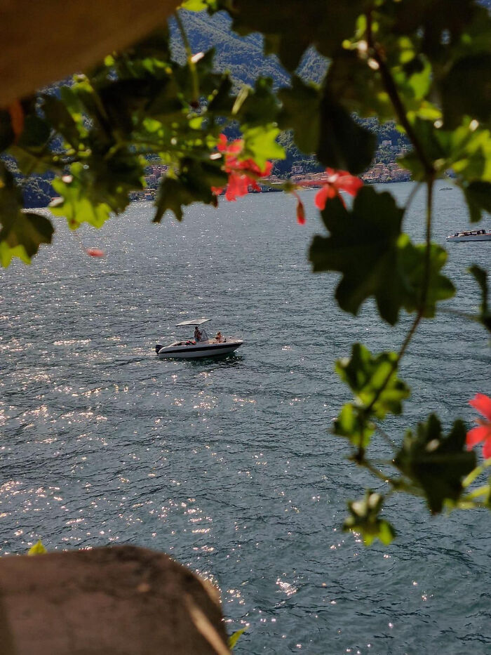 Aesthetic photo of a boat on shimmering water framed by leaves and flowers