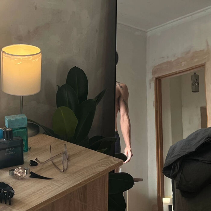 Aesthetic indoor scene by a desk with soft lamp light and a leafy plant