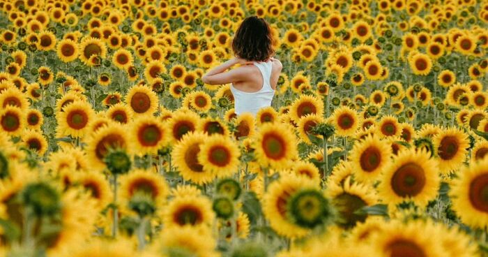 81 Photos So Aesthetic They Look Like They Came Straight From Pinterest