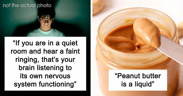 73 Completely Useless Facts That Are Weirdly Hard To Forget
