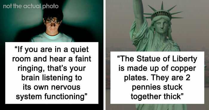 73 Completely Useless Facts That Are Weirdly Hard To Forget