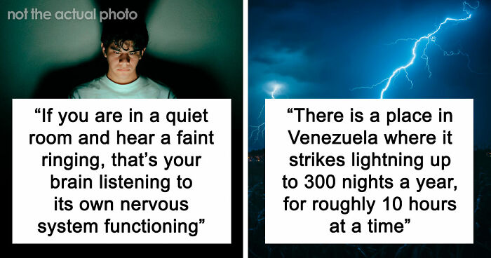 73 Completely Useless Facts That Are Weirdly Hard To Forget
