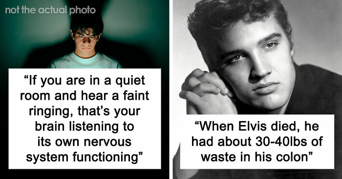 73 Completely Useless Facts That Are Weirdly Hard To Forget