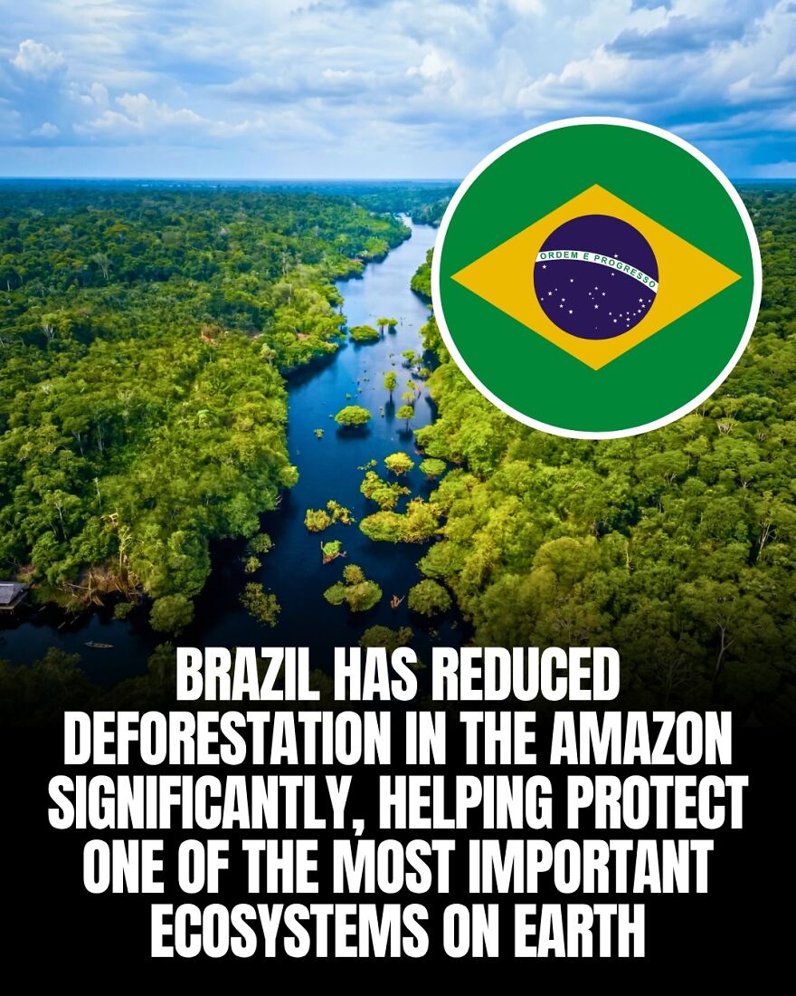 Brazil's Amazon deforestation reduction: protecting our planet, teaching humanity something new.